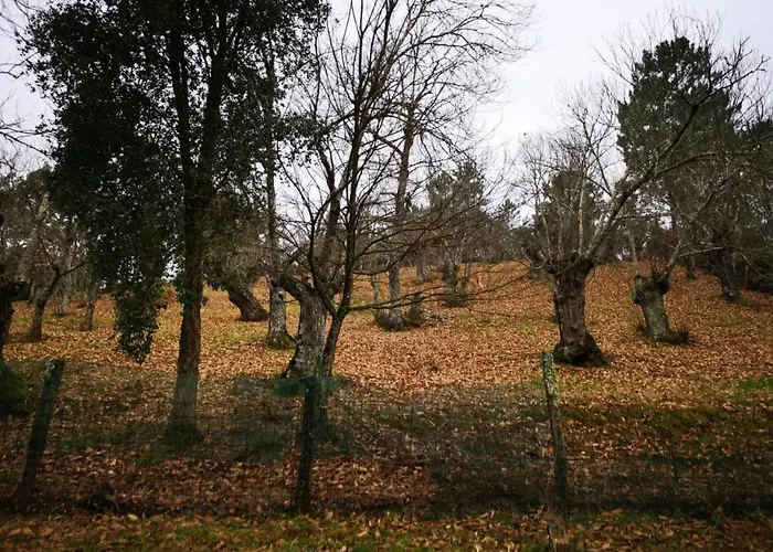Valle Granado