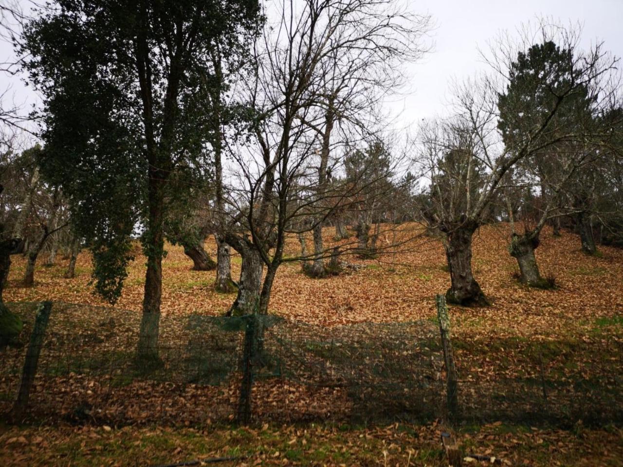Landhaus Valle Granado
